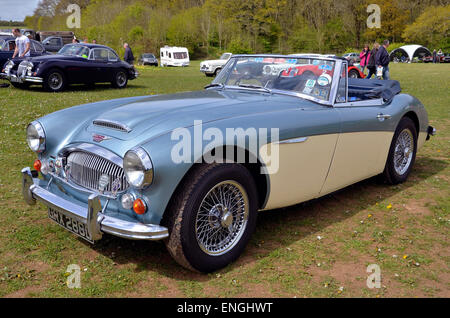 Ein glatt und makellos Austin Healey 3000 Mk III Sportwagen, eine echte 1960 Oldtimer Stockfoto