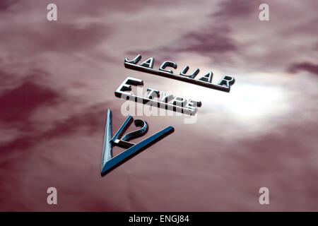 Jaguar E-Type V12 Stockfoto
