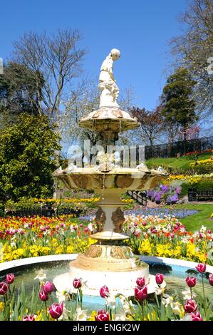 Stein-Brunnen in der Dingle formalen Garten in Quarry Park während der Frühling umgeben von Tulpen, Shrewsbury, England, UK. Stockfoto