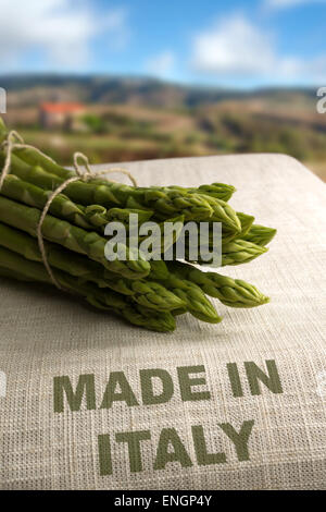 Grüner Spargel auf Tasche mit italienischen Landschaft im Hintergrund und Text "Made in Italy" Stockfoto