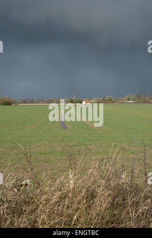 Flaches Feld in Norfolk Stockfoto