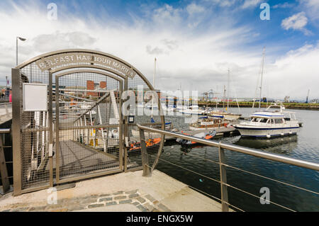 Belfast Hafen Marina Stockfoto