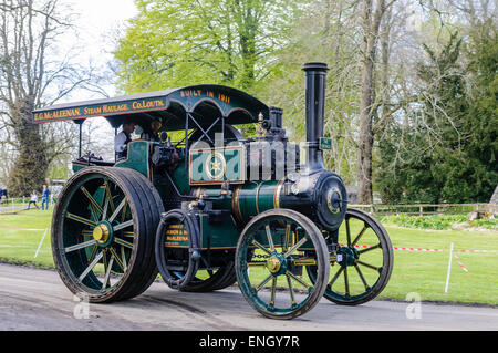 Zugmaschine bei einem Steam fair Stockfoto