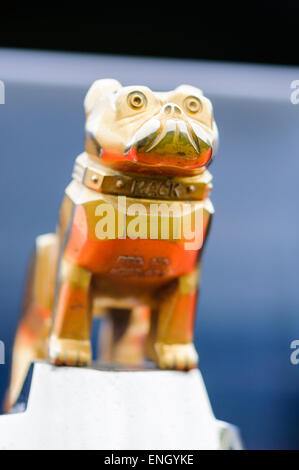 Bulldog Maskottchen auf der Motorhaube eines Mack Lkw. Stockfoto