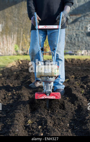 Gärtner umzugraben einen Gemüsegarten, die Vorbereitung des Bodens für die Bepflanzung. England Stockfoto
