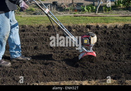 Gärtner umzugraben einen Gemüsegarten, die Vorbereitung des Bodens für die Bepflanzung. England Stockfoto