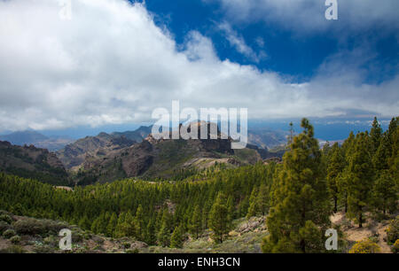 Gran Canaria, Las Cumbres - den höchsten Bereichen der Insel, anzeigen südlich von Degollada Blanca Stockfoto