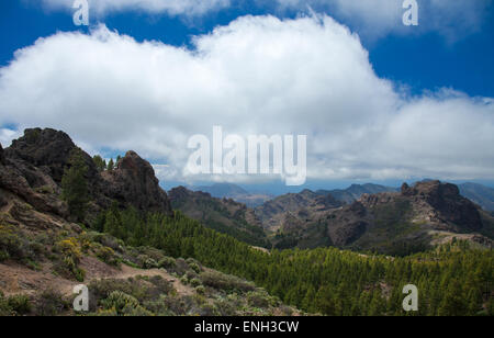 Gran Canaria, Las Cumbres - den höchsten Bereichen der Insel, anzeigen südlich von Degollada Blanca Stockfoto