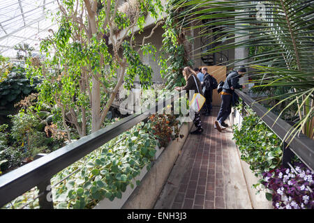 Barbican Wintergarten im Barbican Centre, London, England Stockfoto