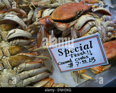 Frisch gekochte Dungeness Krabbe auf den Verkauf mit Dollar Preisschild am Fischmarkt Monterey Kalifornien USA Stockfoto