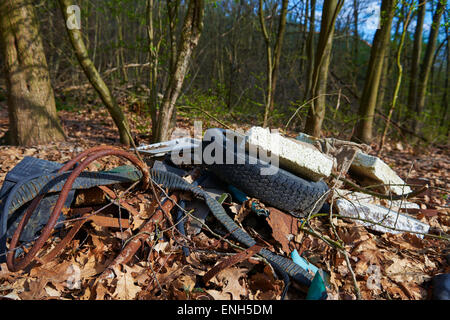 Müllgrube im Holz. Illegale Müllkippe Stockfoto