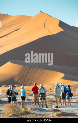 Afrika, Namibia. Namib-Wüste. Sossusvlei, Naukluft Park. Wanderer am Grat des Big Daddy Düne bei Sonnenaufgang. Gruppe im Vordergrund Modus Stockfoto