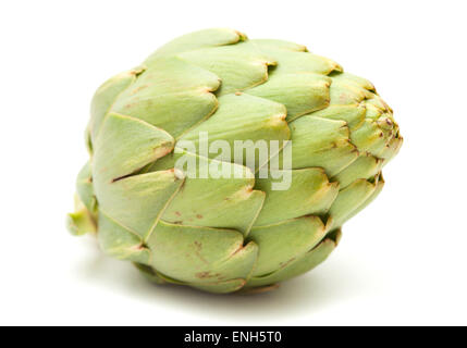 frische Artischocke isoliert auf weißem Hintergrund Stockfoto