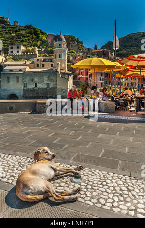 Napping Hund auf gepflasterten Gehweg in Vernazza, Cinque Terre Stockfoto