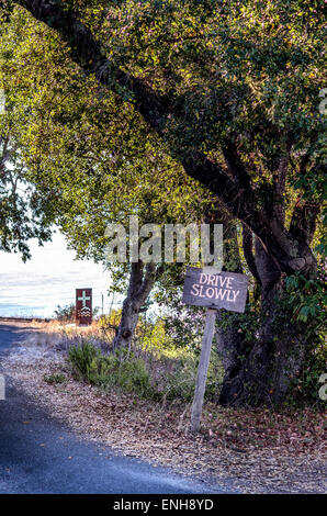 Fahren Sie langsam Zeichen auf Straße in Big Sur, Kalifornien Stockfoto