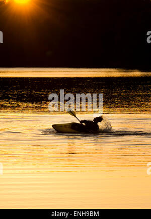 Ein Kajakfahrer Silhouette bei Sonnenuntergang am "Reservoir Park" Southern Pines, North Carolina, Moore County NC Stockfoto