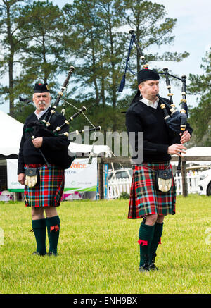 Die Cross Creek Pipes and Drums erklingt in den Stoneybrook Steeplechase Rennen in Raeford North Carolina Stockfoto