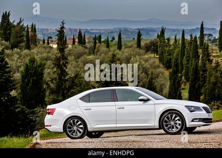 Skoda Superb III, 2,0 TSI / 162 kW Stockfoto