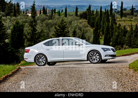 Skoda Superb III, 2,0 TSI / 162 kW Stockfoto