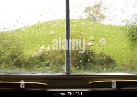 Wetter-Regen-Tropfen in einem Fenster mit Schafbeweidung im Hintergrund ländlichen Herefordshire, England UK Stockfoto