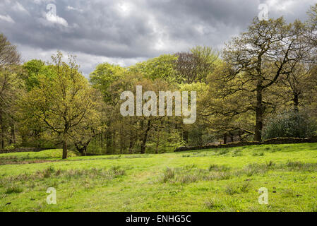 Landschaft in der Nähe von Hollingworth Tameside, England an einem Frühlingstag. Stockfoto