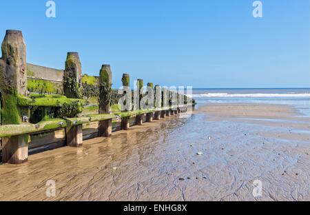 Wellenbrecher. oder Buhne, an einem Strand bei Ebbe Stockfoto