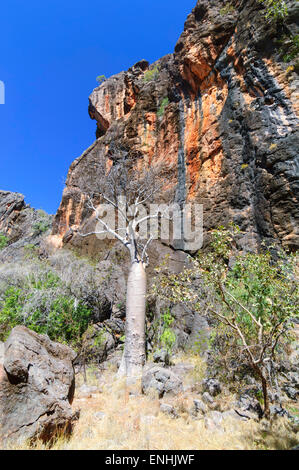 Tunnel Creek, Kimberley-Region, Western Australia, WA, Australien Stockfoto