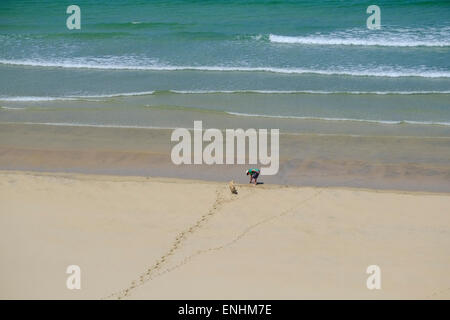 Spaziergang mit einem Hund auf einer Cornwall Strand in lelant in der Nähe von St Ives Stockfoto