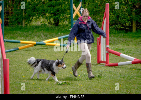 Hunde und ihre Besitzer teilnehmen an einem Alvechurch Riding Club Show in der Hoffnung, dass ihr Hunden können sie Preise gewinnen helfen können Stockfoto