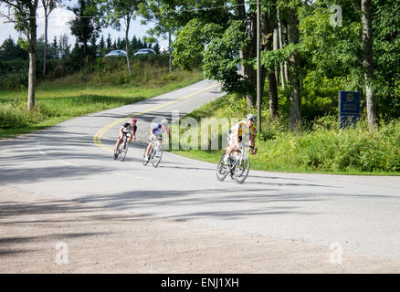 Schlossmühle Veloland Inkoo, Finnland. Stockfoto