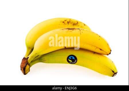 Reihe von Fairtrade-Bananen Stockfoto