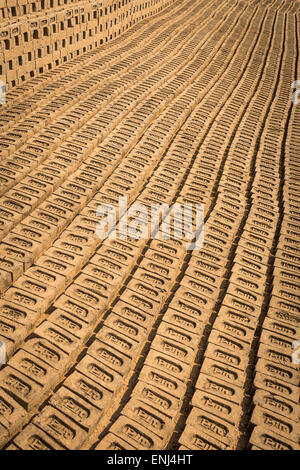Ziegel, die Trocknung bei einem Ziegelstein-arbeiten in Uttar Pradesh, Indien Stockfoto