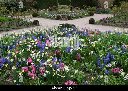 Duft-Gartenblumen in RHS Harlow Carr Gardens, Harrogate, England Stockfoto