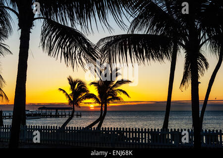 Sonnenaufgang über dem Fishing Pier im Cheeca Lodge & Spa Resort. Islamorada. Florida Keys. USA Stockfoto