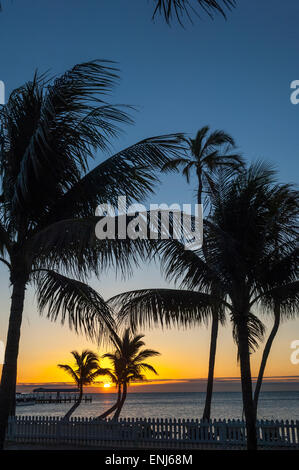 Sonnenaufgang über dem Fishing Pier im Cheeca Lodge & Spa Resort. Islamorada. Florida Keys. USA Stockfoto