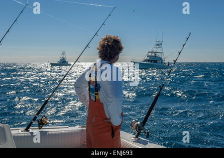 Offshore-Sportfischerei in den Florida Keys. USA Stockfoto