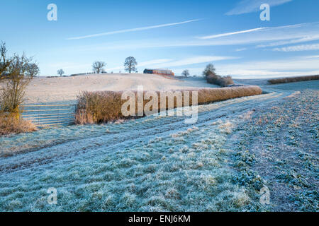 Neben einem Feldweg Richtung Wirtschaftsgebäude kurz nach Sonnenaufgang an einem frostigen Morgen in der Nähe von Holdenby, Northamptonshire, England Stockfoto