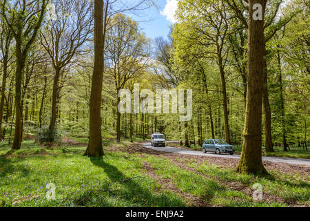 Zwei Autos auf ruhigen Landstraße fahren durch Forest of Dean im Frühjahr Gloucestershire England UK Stockfoto