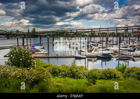 Blick auf einen Yachthafen an der Uferpromenade in Portland, Oregon. Stockfoto