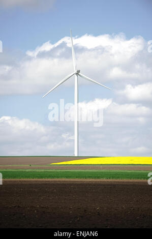 Isolierte Windkraftanlage in der Nähe von einem Feld von Raps Blumen im Frühling Stockfoto