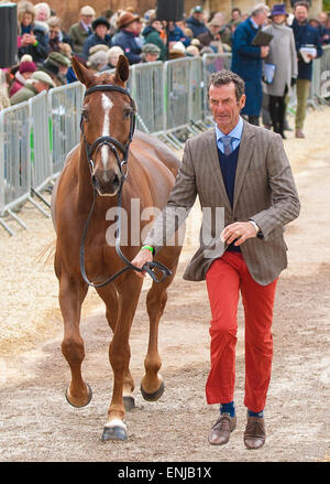 Badminton, Gloucestershire, UK. 6. Mai 2015. Mark Todd Oloa an die erste Pferd Inspektion 2015 Mitsubishi Badminton Horse Trials zeigen. Bildnachweis: Charlie Bryan/Alamy Live News Stockfoto