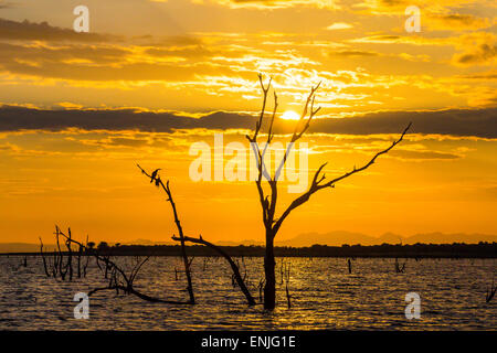 Sonnenuntergang am Lake Kariba, Simbabwe Stockfoto