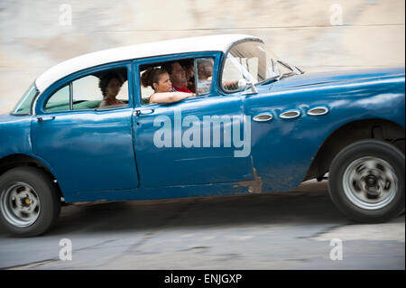 Havanna, Kuba - 13. Juni 2011: Passagiere in blauen amerikanischen Oldtimer als kommunale Taxi fahren. Stockfoto