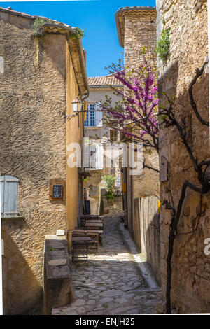 Traditionelle Architektur & gepflasterten Straße Simiane la Rotonde, ländlichen Frankreich April 2015 Stockfoto