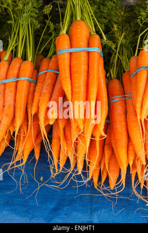 Bio-Karotten für den Verkauf auf dem Bauernmarkt, Santa Barbara, California, Vereinigte Staaten von Amerika Stockfoto