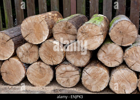 Haufen von Holz für den Winter bereit Stockfoto