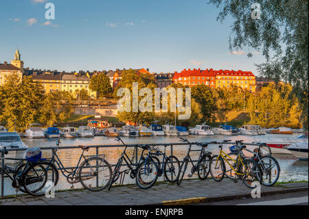 Herbst in Stockholm, Schweden Stockfoto