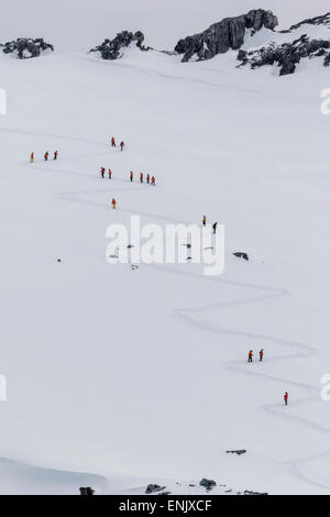 Lindblad Expeditions-Gäste von der National Geographic Explorer-Wandern am Orne Harbor, Antarktis, Polarregionen Stockfoto
