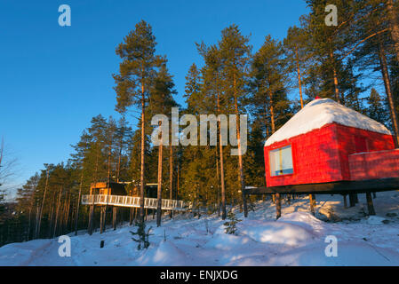 Den blauen Kegel Raum, The Tree Hotel, Lappland, Arctic Circle, Schweden, Skandinavien, Europa Stockfoto