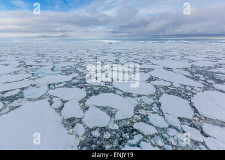 Eisschollen ersticken die Gewässer des Lemaire-Kanal, Antarktis, Polarregionen Stockfoto